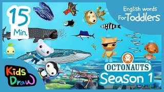 Octonaut season1  15 minutes Compilation  sea creatures  English Words for Toddlers  Kidsdraw [upl. by Anagnos]