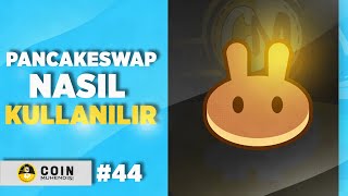 Pancakeswap Kullanımı  Likidite Sağlama Ve Ön Satışlar  Sıfırdan Eğitim Serisi 44 [upl. by Astraea]