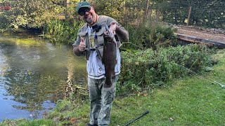 Avington Trout Fishery  A Flying 3 Hour Visit On Route To EXMOOR [upl. by Gillespie249]