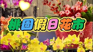 桃園假日花市、免費賞花景點，來個浪漫一日遊吧桃園景點賞花虎頭山 [upl. by Ydieh]