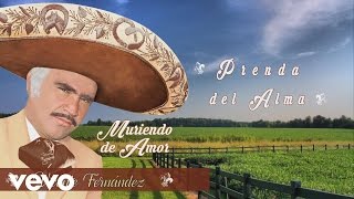 Vicente Fernández  Prenda del Alma Cover Audio [upl. by Eniamrej]