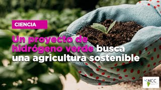 Un proyecto de hidrógeno verde busca una agricultura sostenible [upl. by Notrab]