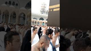 ওমরা হজ্জ করার নিয়ম Umrah Hajj Korar niom shorts youtubeshorts shortvideo arabiclanguage [upl. by Ydnas70]