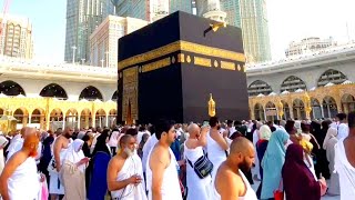 Al haram live 🔴 now  8 May 2024  Makkah Live Today Now 🕋  Umrah HD [upl. by Hermie]