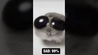 Sad hamster 😭😅🐭🤩 funny animals shorts hamster [upl. by Jacobsohn]