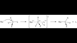 SN2 Reaction Mechanism [upl. by Assirehc994]