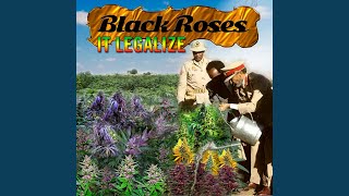 Black Roses feat Brenda [upl. by Bouzoun]