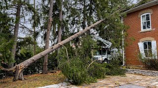 Experts confirm tornado touched down in Fergus Ont [upl. by Wilscam]