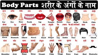 Body Parts Name With Pronunciation  Body Parts Name In English And Hindi [upl. by Akemhs]