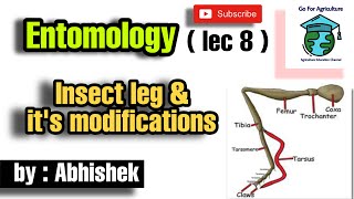 Insects leg its modifications  Types of insects leg  Entomology lec 8  Go For Agriculture [upl. by Hwu]