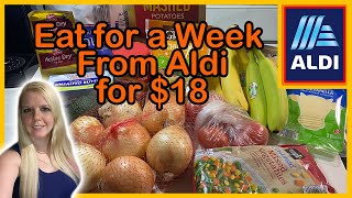 How to Eat for 18 a Week  Aldi Budget Meal Plan  Emergency Grocery Haul [upl. by Pegasus975]