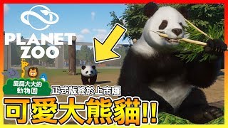 重新開園一起迎接超萌大熊貓🐼【動物園之星 Planet Zoo】正式版終於上市啦 08 [upl. by Bernj]