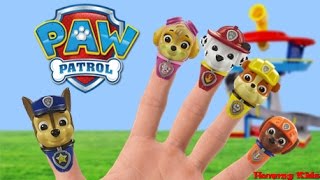 Finger Family Paw Patrol Daddy Finger Paw Patrol Weebles Nursery Rhymes [upl. by Helli]