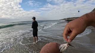 Torrey Pines SoCal Surf Fishing [upl. by Straus]