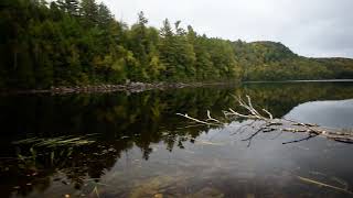 Parc Mauricie 21 Septembre 2024 1 [upl. by Ellasal805]