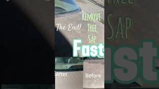 Remove tree sap fast with this chemical 🧽 detail [upl. by Nehtanoj]