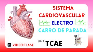 SISTEMA CARDIOVASCULAR ❤️  ELECTROCARDIOGRAMA 〰  CARRO DE PARADA📗 para TCAE [upl. by Aynotan571]