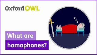 What are homophones  Oxford Owl [upl. by Naitsihc]