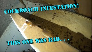 Getting rid of a bad cockroach infestation [upl. by Catha729]