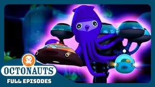 Octonauts  🦑 The Colossal Squid 💦  Season 2  Full Episodes  Cartoons for Kids [upl. by Inaflahk]