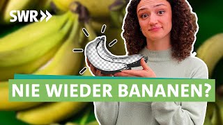 Superfood Banane Können wir die Südfrucht noch retten I Ökochecker SWR [upl. by Ferdinand94]