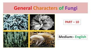 General Characters of Fungi Part10 English [upl. by Junno]