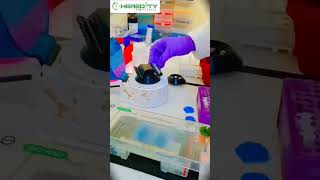 How to setup the PCR reaction [upl. by Abocaj]