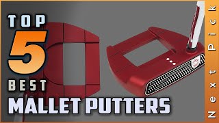 Top 5 Picks Best Mallet Putters Review  For Mid Handicappers 2023 [upl. by Avram]