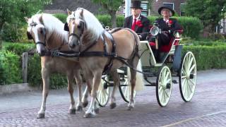 Koetsentocht 2012 Rouveen ook in HD [upl. by Eydie307]