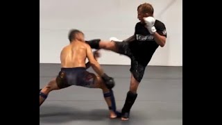 TJ Dillashaw Head Kicks Partner In Spar [upl. by Aitital94]