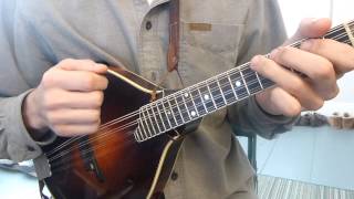 Pick Direction  How To Play Reels  Mandolin Lesson [upl. by Alyk]