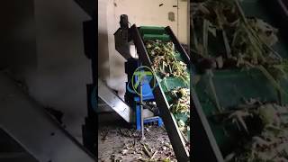 Organic food waste shredding amp dewatering [upl. by Gonick333]