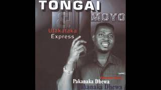 Tongai Moyo  Munyaradzi Wangu Pakanaka Dhewa Album 2004 Official Audio [upl. by Alboran]