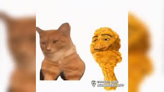 everyday Im shuffling with mewing cat and chicken nuggets lmfao party rock anthem [upl. by Ralf]