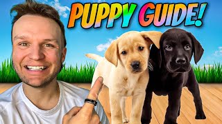 Puppy TRAINING  The FIRST 5 Things To Teach Any Puppy [upl. by Nameerf]