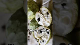 Mystery of Cherimoya Fruit fruit shorts [upl. by Sakram869]