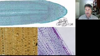 Cinelecture 63  The Eukaryotic Cell Cycle [upl. by Aneela]