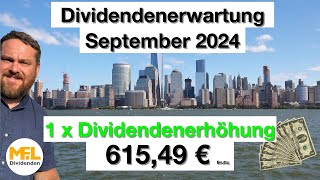 61549 € Bruttodividenden erwarte ich im September für mein Aktiendepot quotNo risk no funquot [upl. by Gazo]