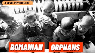 What HAPPENED to the Romanian Orphans [upl. by Gerdy157]