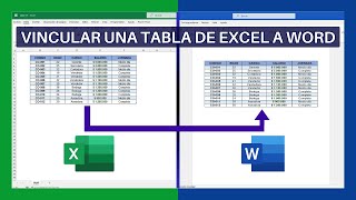 Vincular una Tabla de Excel a Word PASO A PASO [upl. by Hada]