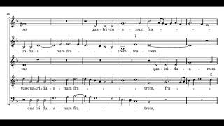 Palestrina Beatae Mariae Magdalenae  Sixteen [upl. by Eiraminot]