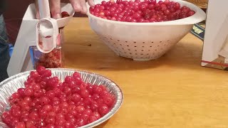 Pitting CHERRIES Norpro Cherry Pitter [upl. by Ahtnams]