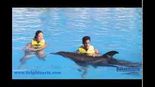 Dolphin Swim and Ride  Dolphinaris [upl. by Polash]