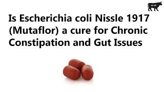 Is Escherichia coli Nissle 1917 Mutaflor a cure for Chronic Constipation and Gut Issues [upl. by Disario]