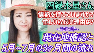 🌟163【九星気学】四緑木星さんの現在地は？この先5月～7月の流れを月盤と共に解説します🌠 [upl. by Eseyt]