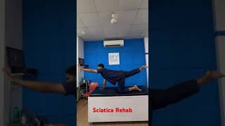 Back pain rehabilitation पीठ दर्द से राहतdrnidhisharma physiotherapist bestfemalephysiotherapist [upl. by Vahe]