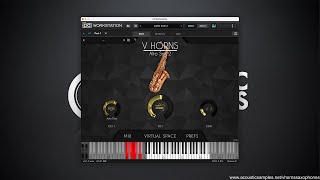 VHorns Saxophones by acousticsamples  Overview [upl. by Ajnat]