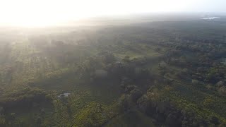 Mexique un gigantesque site maya découvert  AFP [upl. by Attayek]