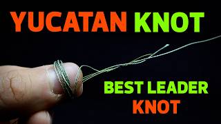 Yucatan Knot  Best Leader Knot [upl. by Flanigan769]