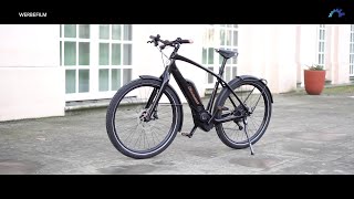 Diamant Zouma Sport 2019  Stadtrad  Trekking EMTB  Urban Ebike [upl. by Ahsilat]